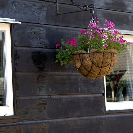 De Schaapskooi - Knus Veluws Vakantiehuisje Ede Kültér fotó